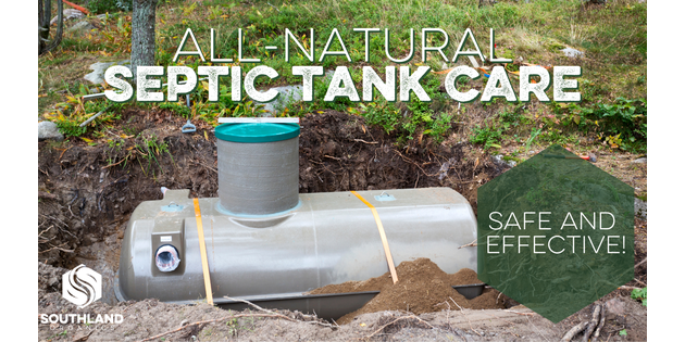 Best Septic Tank Treatment: Top Solutions For A Healthy And Efficient System
