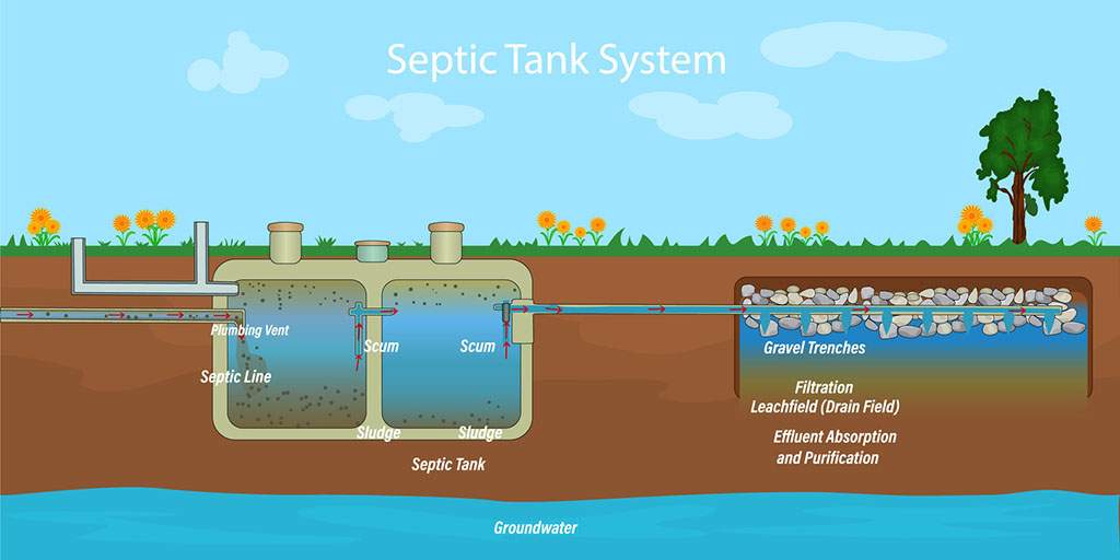 Does Pee Go In Septic Tank?