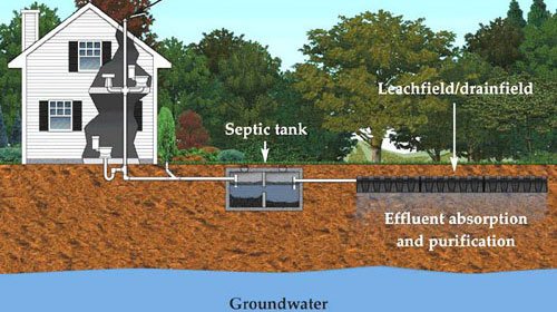 How Often Should You Put Ridex In Your Septic Tank?