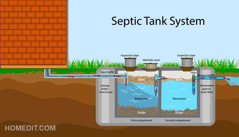 What Is A Home Remedy For Septic Tank Maintenance?